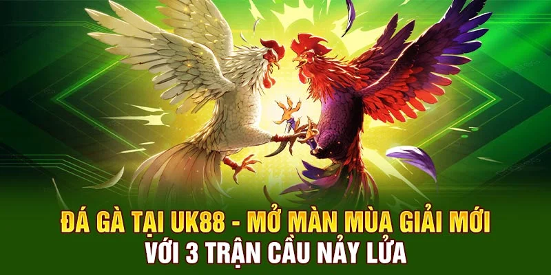 Đá Gà Tại UK88 - Mở Màn Mùa Giải Mới Với 3 Trận Cầu Nảy Lửa