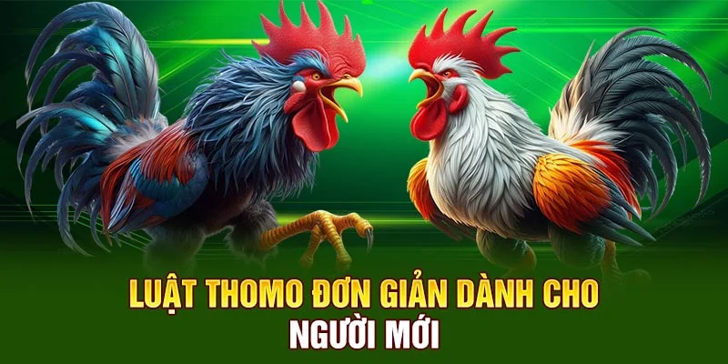 Luật Thomo đơn giản dành cho người mới